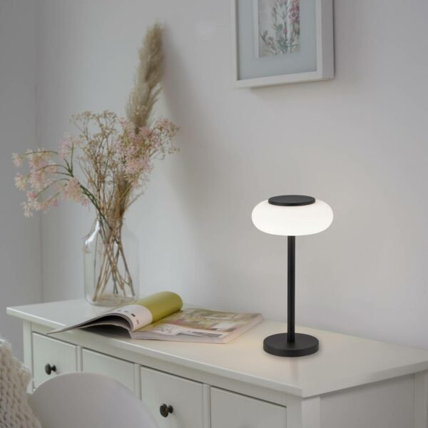 Q-Smart-Home Paul Neuhaus Q-ETIENNE LED stolní lampa